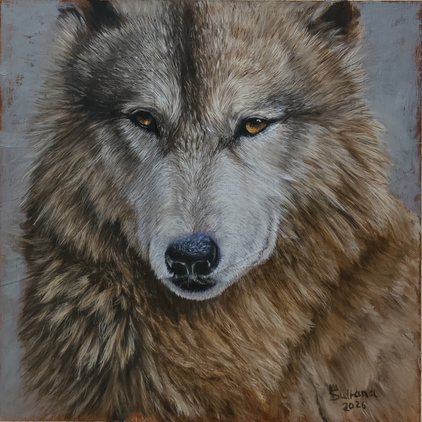 Wolf Study